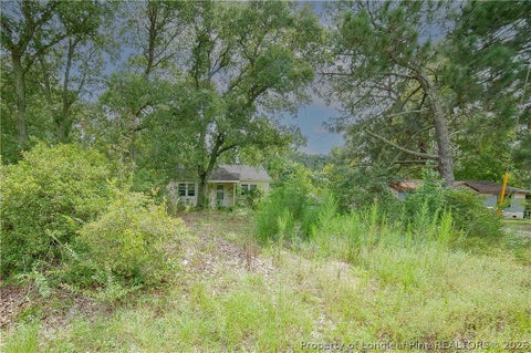 Tiny photo for 3140 Doc Brown Road, Raeford, NC 28376 (MLS # 768544)