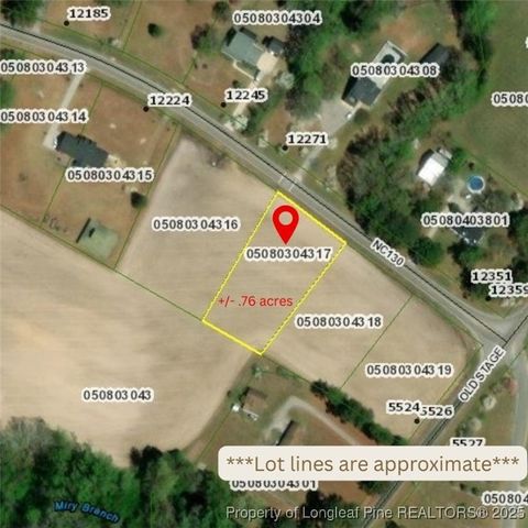 Photo of 12271 Nc Hwy 130 Highway, Fairmont, NC 28340 (MLS # 754079)