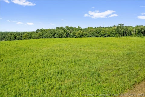 Tiny photo for 00 Laia Hills (Lot 3) Road, Siler City, NC 27344 (MLS # 767612)
