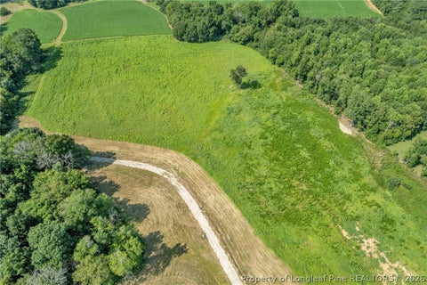 Tiny photo for 00 Laia Hills (Lot 3) Road, Siler City, NC 27344 (MLS # 767612)