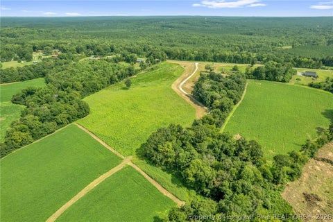 Tiny photo for 00 Laia Hills (Lot 3) Road, Siler City, NC 27344 (MLS # 767612)