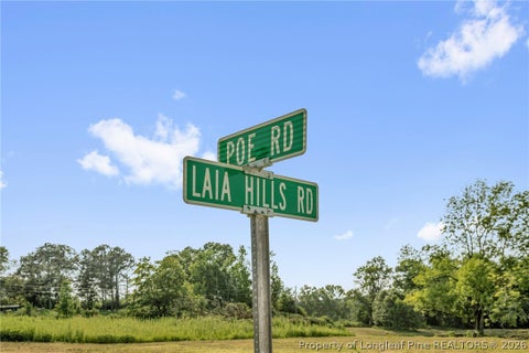 Tiny photo for 00 Laia Hills (Lot 3) Road, Siler City, NC 27344 (MLS # 767612)