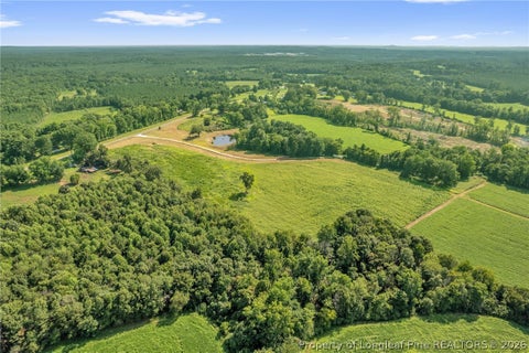 Tiny photo for 00 Laia Hills (Lot 3) Road, Siler City, NC 27344 (MLS # 767612)