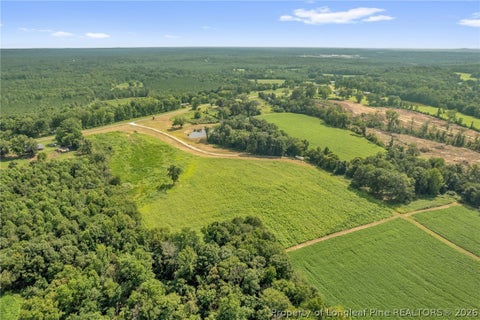 Tiny photo for 00 Laia Hills (Lot 3) Road, Siler City, NC 27344 (MLS # 767612)