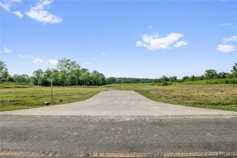 Tiny photo for 00 Laia Hills (Lot 3) Road, Siler City, NC 27344 (MLS # 767612)