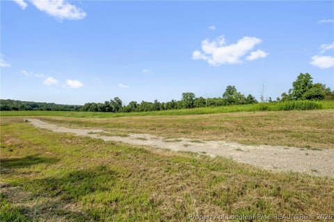 Tiny photo for 00 Laia Hills (Lot 3) Road, Siler City, NC 27344 (MLS # 767612)