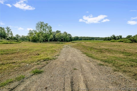 Tiny photo for 00 Laia Hills (Lot 3) Road, Siler City, NC 27344 (MLS # 767612)
