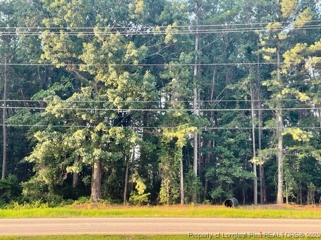 Raeford Road