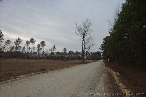 Tiny photo for Lot 7 Sand Rock Road, Fairmont, NC 28340 (MLS # 755262)