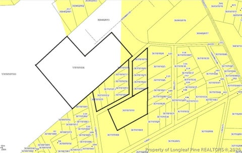 Photo of Access by Campbell Drive, Red Springs, NC 28377 (MLS # 769479)