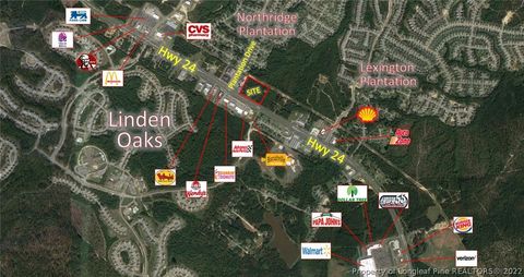 NC Hwy 87 Cameron NC 28326