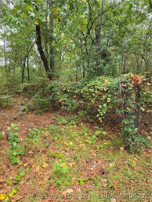 6438 and 6440 Raeford Road