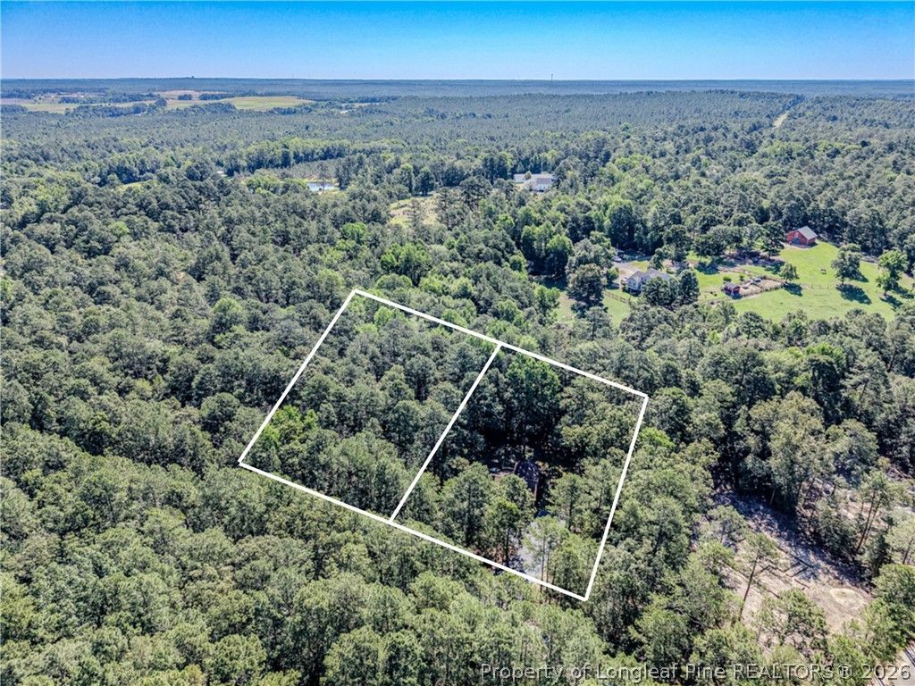 Photo of 452 Sweet Gum Drive, Vass, NC 28394 (MLS # 763721)