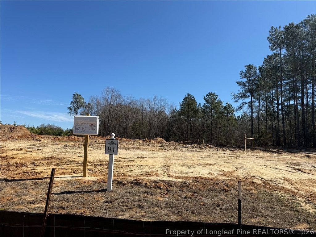 Photo of 1959 Thomas Wood (Lot 94) Drive, Fayetteville, NC 28306 (MLS # 757986)