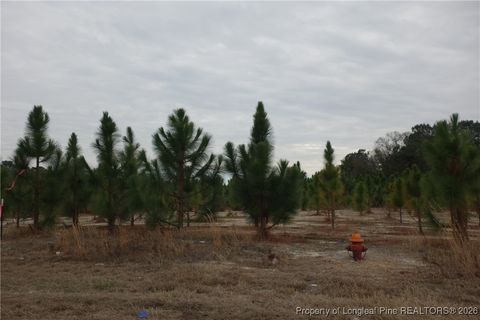 Photo of Lot 35 Stuarts Mill Road, Fairmont, NC 28340 (MLS # 756643)