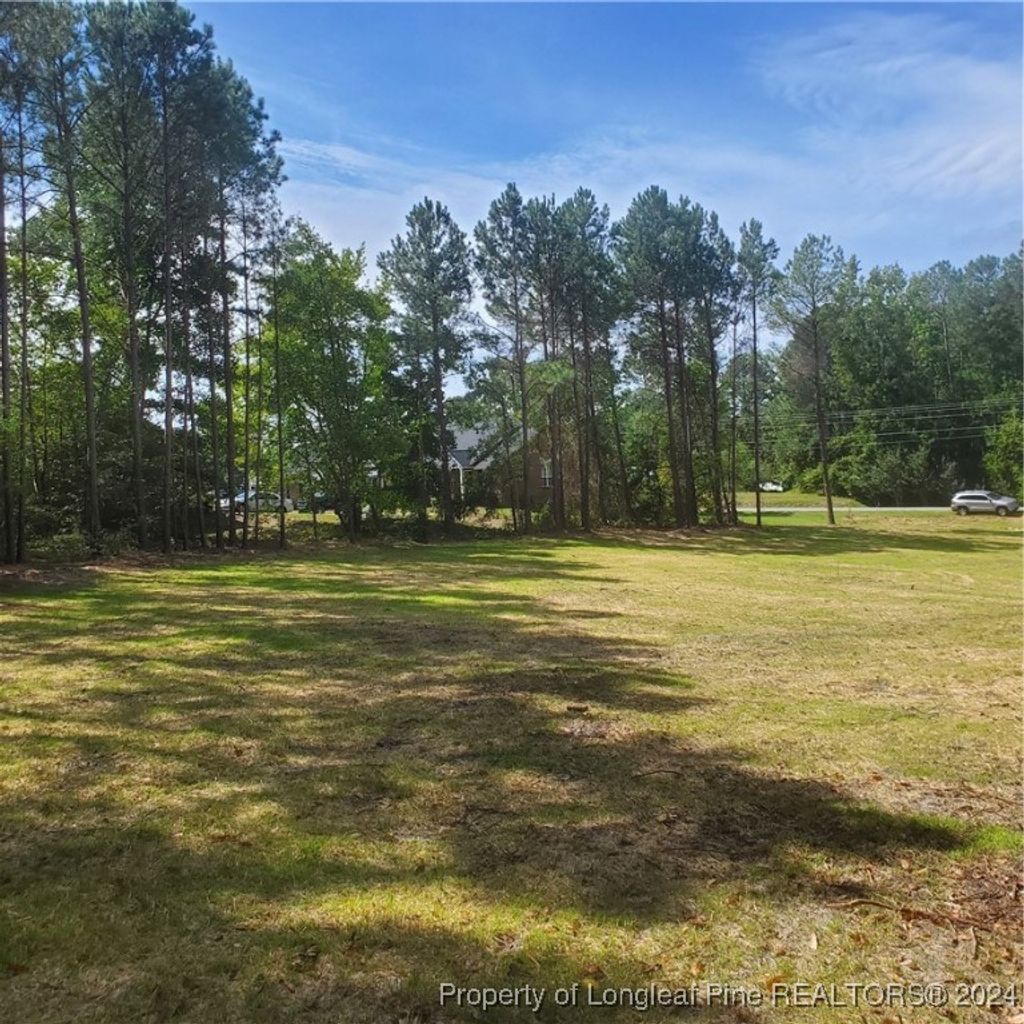 Photo of TBD Lot 2 Rockfish Road, Raeford, NC 28376 (MLS # 731882)