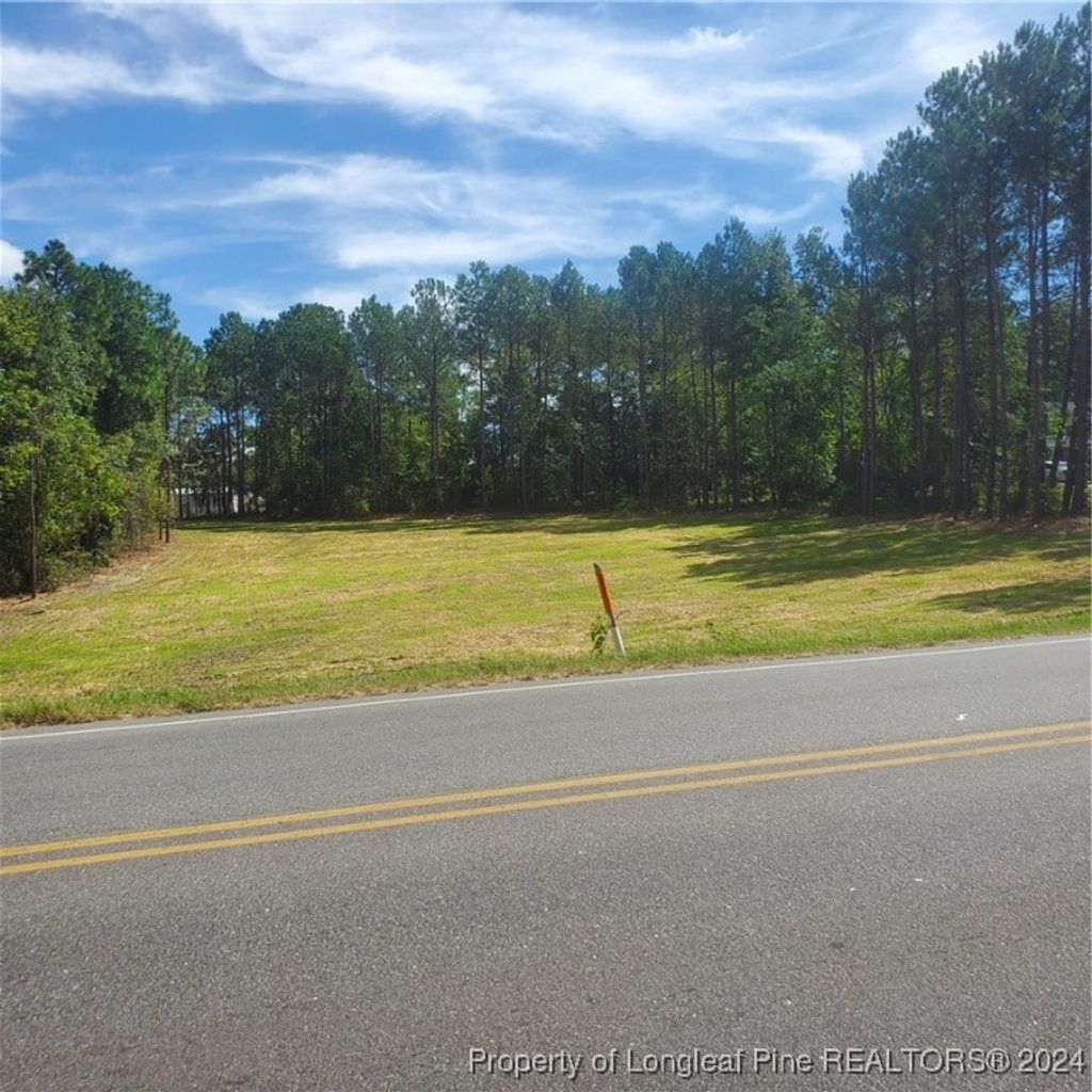 Photo of TBD Lot 2 Rockfish Road, Raeford, NC 28376 (MLS # 731882)
