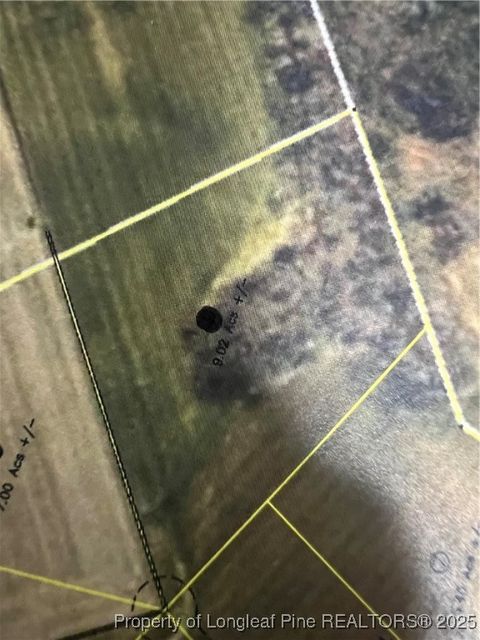 9.02 acres Buie Philadelphus Road Red Springs NC 28377