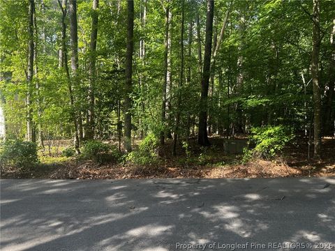 Photo of 992 Whistling Wind, Sanford, NC 27332 (MLS # 762323)