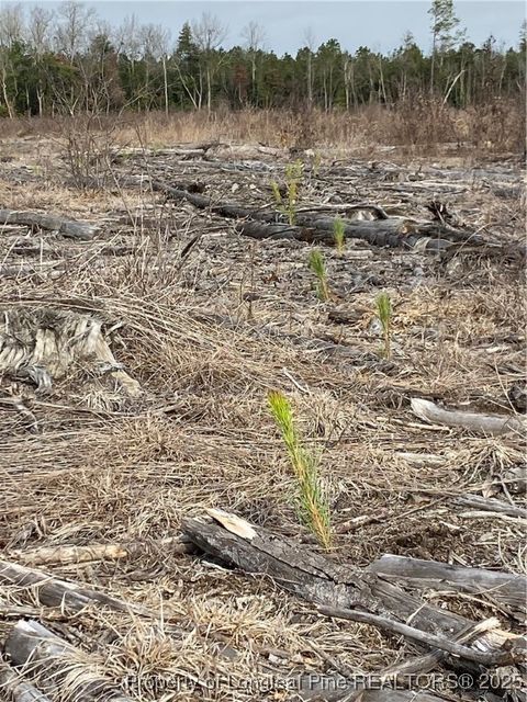 Tiny photo for 7399 Burney Road, White Oak, NC 28399 (MLS # 753480)