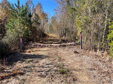 Tiny photo for 7399 Burney Road, White Oak, NC 28399 (MLS # 753480)