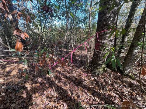 Tiny photo for 7399 Burney Road, White Oak, NC 28399 (MLS # 753480)