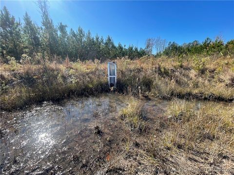 Tiny photo for 7399 Burney Road, White Oak, NC 28399 (MLS # 753480)