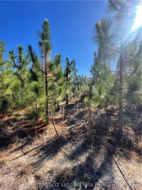 Tiny photo for 7399 Burney Road, White Oak, NC 28399 (MLS # 753480)