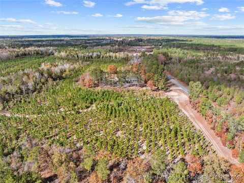 Photo of 7399 Burney Road, White Oak, NC 28399 (MLS # 753480)