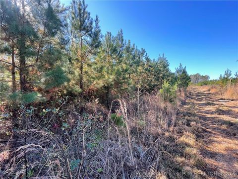 Tiny photo for 7399 Burney Road, White Oak, NC 28399 (MLS # 753480)