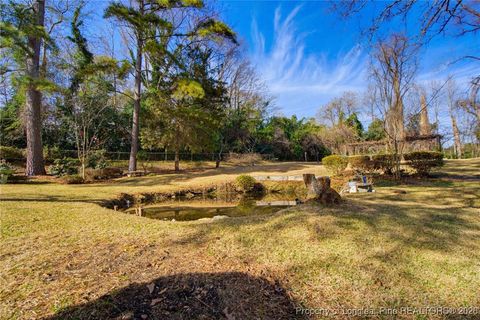 Tiny photo for 311 Brainerd Avenue, Fayetteville, NC 28301 (MLS # 756360)