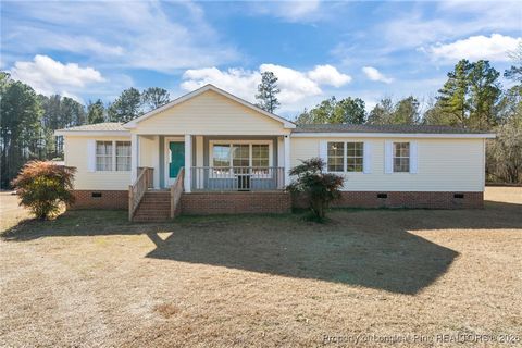 Photo of 26261 Beaver Run, Wagram, NC 28396 (MLS # 755386)