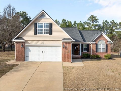 Photo of 159 Whistling Pine Drive, Raeford, NC 28376 (MLS # 758674)