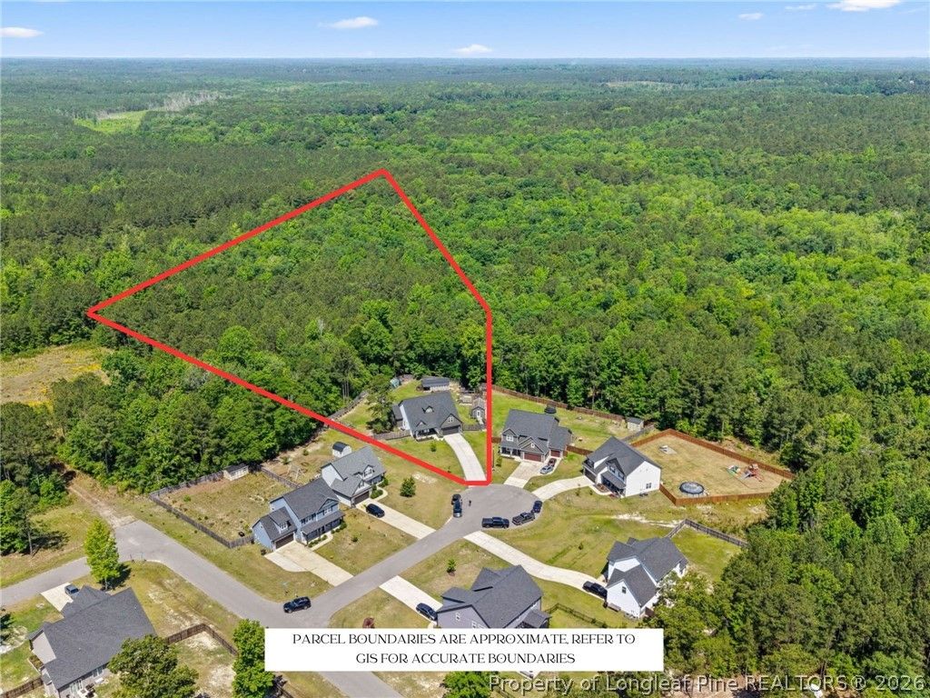 Photo of 43 White Cloud Lane, Sanford, NC 27332 (MLS # 763043)