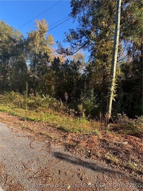 Tiny photo for Taft Street, Fayetteville, NC 28306 (MLS # 753114)