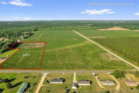 Photo of 00 NC-211 Hwy (Lot 1) Road, Red Springs, NC 28377 (MLS # 764228)