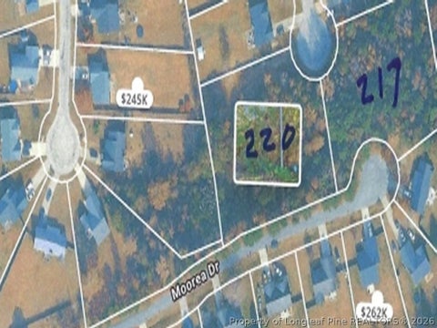 Photo of 217 & 220 Kendall Court, Raeford, NC 28376 (MLS # 769590)