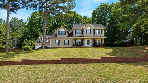 Photo of 56 Mountain View Drive, Sanford, NC 27332 (MLS # 763430)