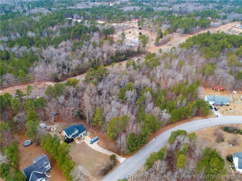 Photo of 286 Colonial Hills Drive, Lillington, NC 27546 (MLS # 770322)
