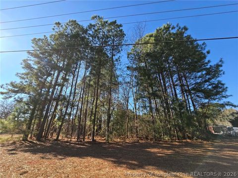 Photo of 4026 Nursery Road, Spring Lake, NC 28390 (MLS # 757287)
