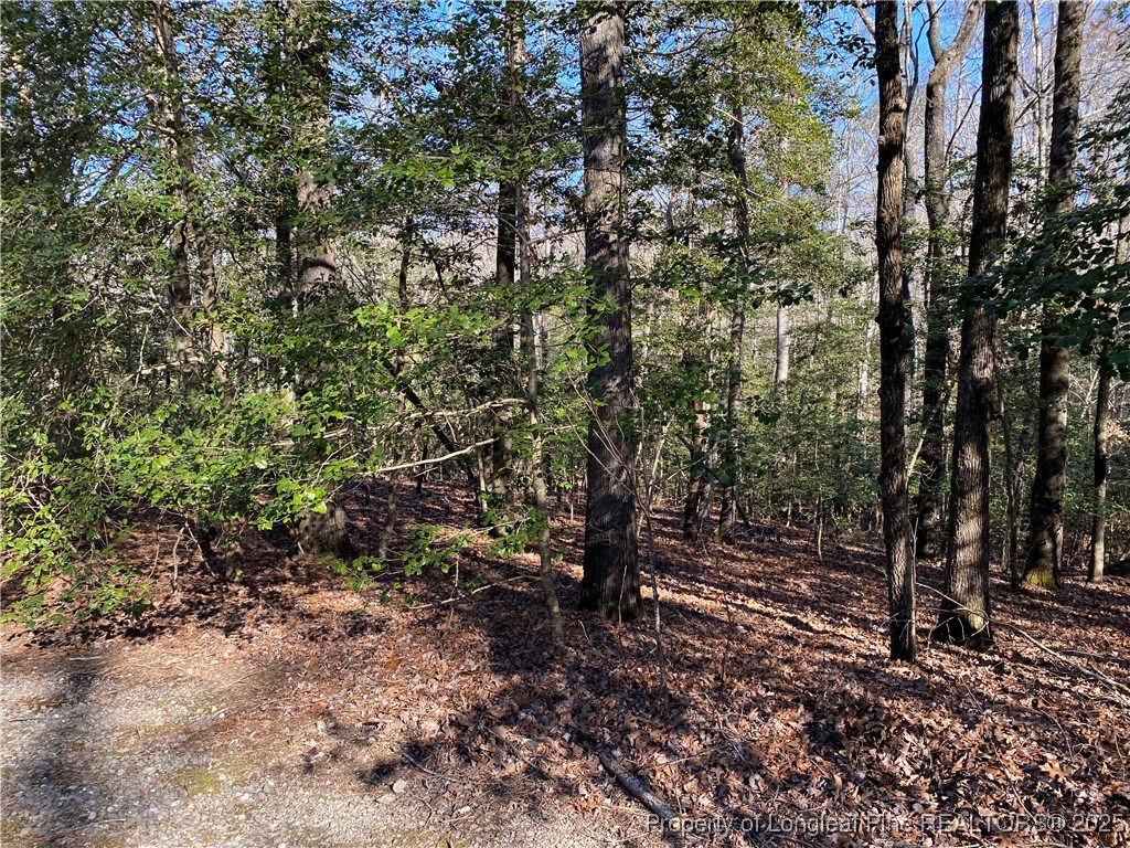 2055 Long Point Trail