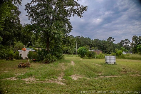 Tiny photo for 799 Cain Road, St Pauls, NC 28384 (MLS # 769591)