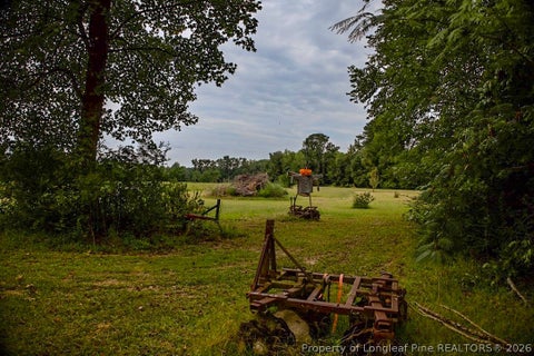 Tiny photo for 799 Cain Road, St Pauls, NC 28384 (MLS # 769591)