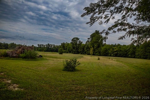 Tiny photo for 799 Cain Road, St Pauls, NC 28384 (MLS # 769591)