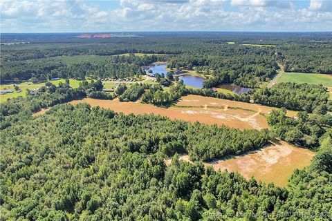 Tiny photo for 0 Laurel Lake (Lot 5) Road, Salemburg, NC 28385 (MLS # 751104)