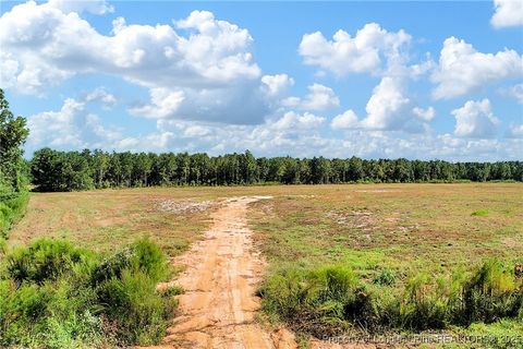 Tiny photo for 0 Laurel Lake (Lot 5) Road, Salemburg, NC 28385 (MLS # 751104)