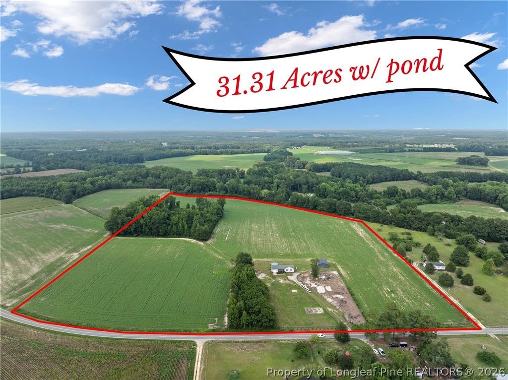 Photo of 1435 Old Mintz Highway, Roseboro, NC 28382 (MLS # 767040)