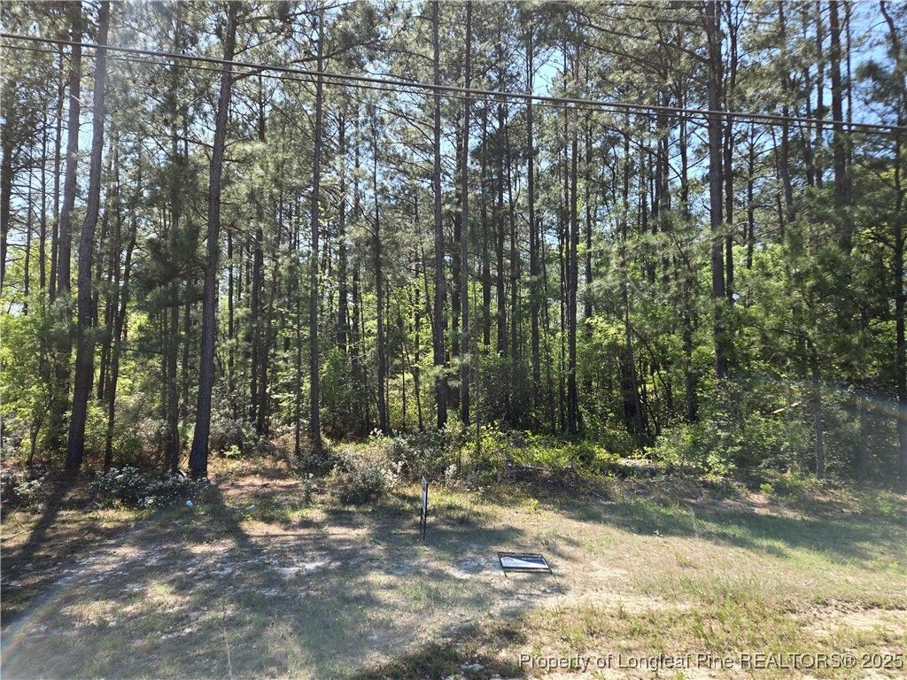 Photo of 000 S Main Street, Hope Mills, NC 28348 (MLS # 742427)