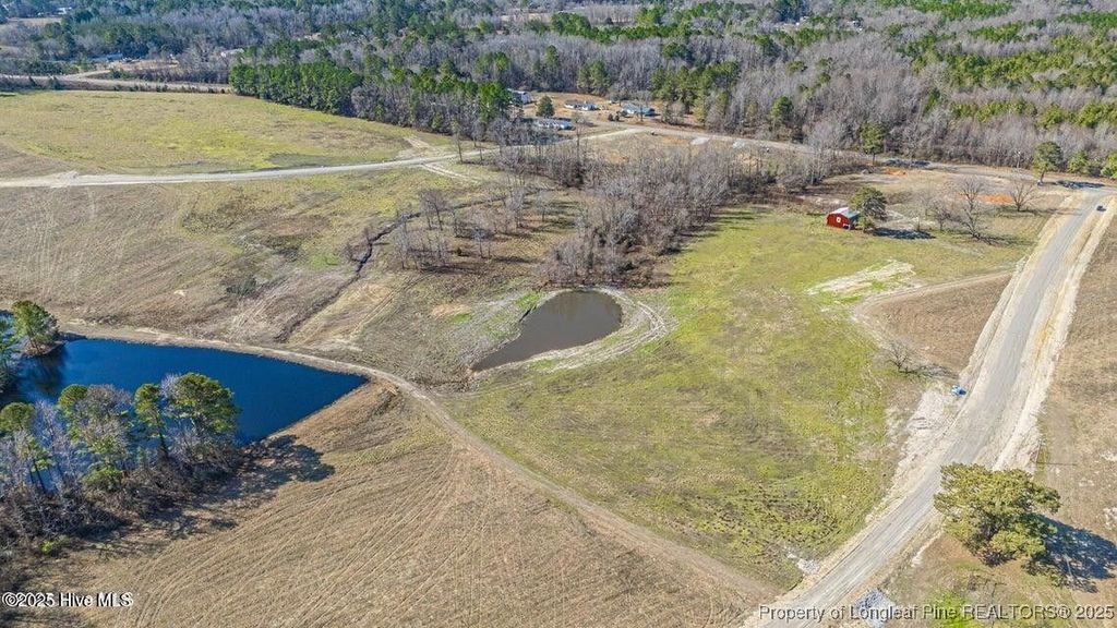 Photo of 525 Sanctuary Trail, Cameron, NC 28326 (MLS # 748317)