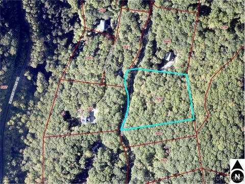 99999 Red Oak Forest Road Fairview NC 28730